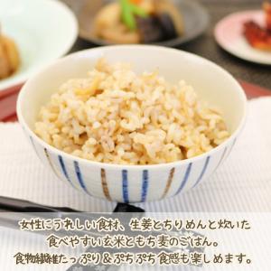 やさしい生姜ランチセット (すっきり美人のGA...の詳細画像1
