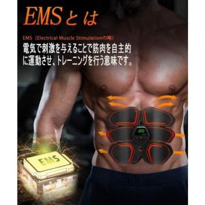 【送料無料★クーポン配布中】★即日発送★ EM...の詳細画像1