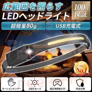 GENTOS（ジェントス） ダイビングハンディライト SR-244DH 明るさ200