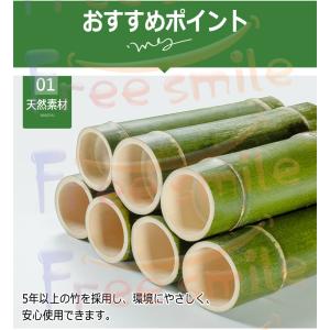 フラワースタンド プランタースタンド ガーデニ...の詳細画像2