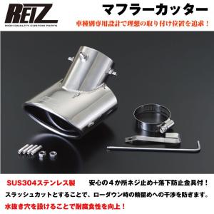 D-SPORT(ディースポーツ) プレミアムマフラーカッター S1 品番：17401