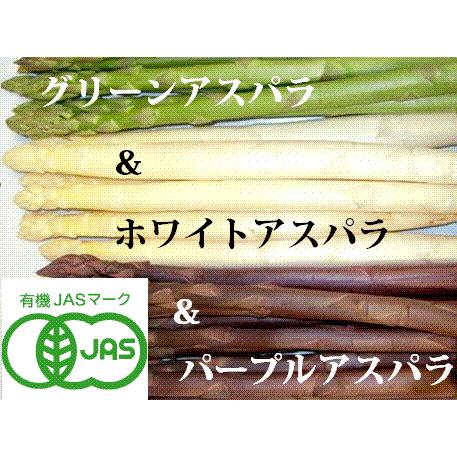 【北海道物産】【卸売市場】【北海道産】（有機栽培）グリーン（ML300ｇ）＆ホワイト（ML400g）...