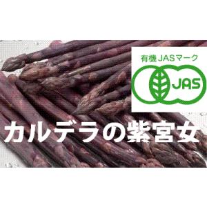 【北海道物産】【卸売市場】【北海道産】（有機栽培）パープルアスパラ（2Lサイズ1kg）