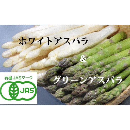 【北海道物産】【卸売市場】【北海道産】（有機栽培）ホワイト＆グリーンアスパラ（各Lサイズ500ｇ×2...