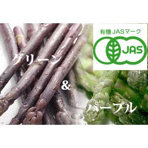 【北海道物産】【卸売市場】【北海道産】（有機栽培）グリーン（LM500ｇ）＆パープルアスパラ（M〜2...