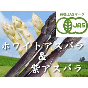 【北海道物産】【卸売市場】【北海道産】（有機栽培）ホワイト（LM500ｇ）＆パープルアスパラ（M〜2...