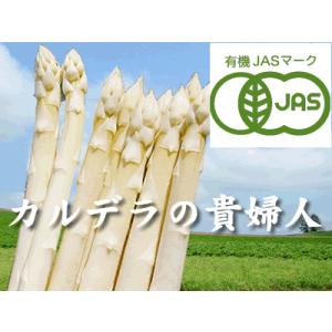 【北海道物産】【卸売市場】【北海道産】（有機栽培）ホワイトアスパラ（3Lサイズ1kg）