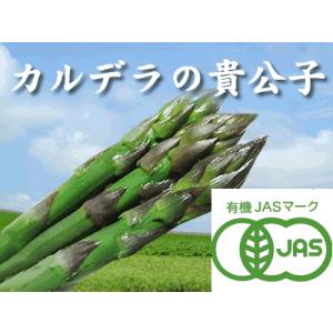 【北海道物産】【卸売市場】【北海道産】（有機栽培）グリーンアスパラ（LMサイズ2kg）
