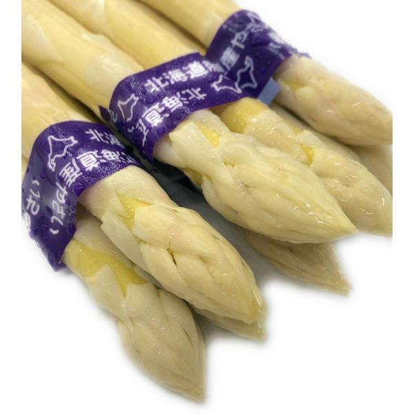 【札幌中央卸売市場より発送】<br>【北海道産）ホワイトアスパラLLサイズ7束/箱入（3〜4本/束×...