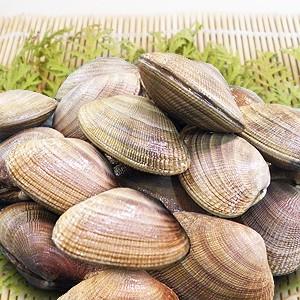 【厚岸産】天然あさり1ｋｇ入（中〜大サイズ混/30から40個前後）