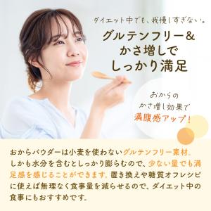 おからパウダー500g×5 超微粉 国内加工 ...の詳細画像5