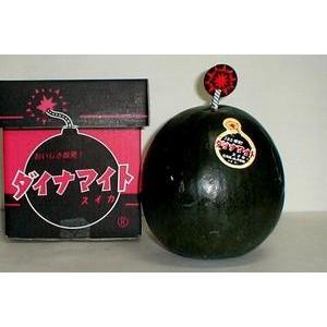 【北海道物産 北海道特産【札幌中央卸売市場 札幌中央卸売場内よりクール航空直送便】月形産ダイナマイト...