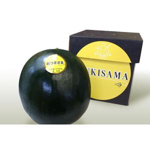 【北海道物産】【北海道特産【札幌中央卸売市場】【札幌中央卸売場内よりクール航空直送便】月形産おつきさ...