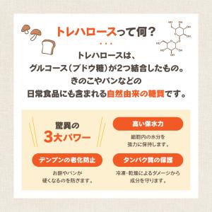 トレハロース 800g 林原商事製 送料無料 ...の詳細画像4