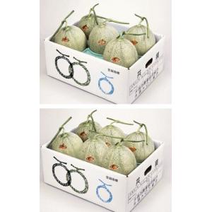 【共撰】夕張メロン 良品5玉or6玉セット★高級品だから,クール航空便でお届け！