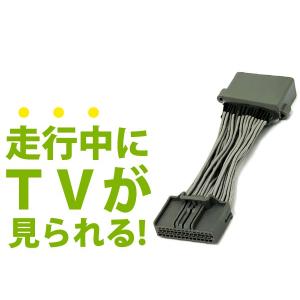 走行中にテレビが見られるキット センチュリー GZG50 後期 ジャンパー