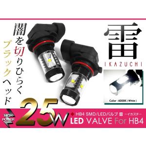 LEDフォグランプ アルファード ANH/MNH1系 LEDバルブ ホワイト 6000K相当 9006 HB4 25W SMD 2個セット 交換用