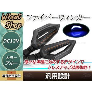 アクラポビッチ タイプ フルカーボン サイレンサー マフラー φ50.8π