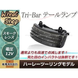 ハーレー ツーリングモデル LED フェンダーエッジライト