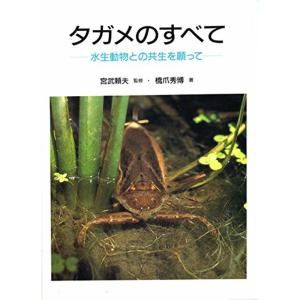 タガメのすべて?水生動物との共生を願って