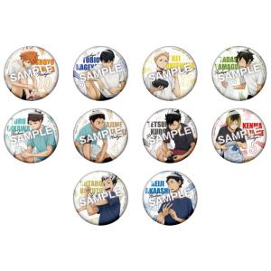 送料無料 ハイキュー!! カラパレ 掃除 缶バッジ 1BOX=11パック入り