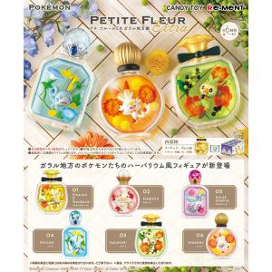 リーメント ポケットモンスター PETITE FLEUR EX ガラル地方編 ポケモン プチフルールEX BOX 全6種セットフルコンプリートセット 4521121206219