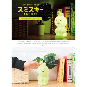 送料無料 SMISKI Touch Light...の詳細画像1