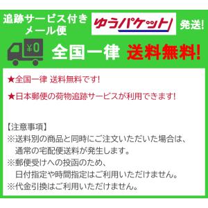 メール便送料無料 ハゲタカのえじき 日本語版 ...の詳細画像2