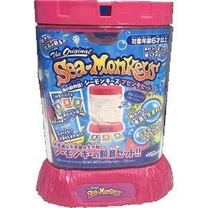 送料無料 海の動物園！シーモンキーズ マゼンタセット 4907953814653