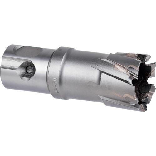 ミヤナガ デルタゴンメタルボーラー 250A DLMB25A22 22mm~25mm ジェットブロー...