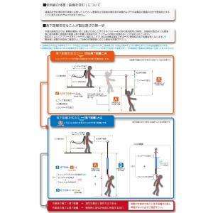 フルハーネス 軽量 新規格対応 タイタン フル...の詳細画像5