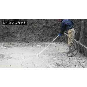 スーパー工業 エンジン式高圧洗浄機 高耐久プレ...の詳細画像3