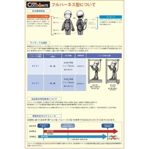 フルハーネス 軽量 新規格対応 タイタン TB...の詳細画像3