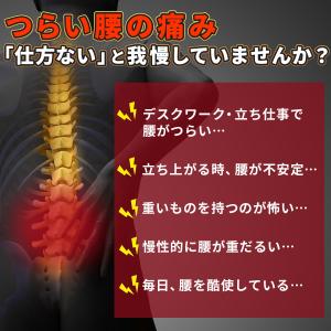 腰痛ベルト 医療用 コルセット 薄型 腰サポー...の詳細画像1