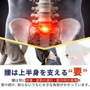 腰痛ベルト 医療用 コルセット 薄型 腰サポー...の詳細画像2