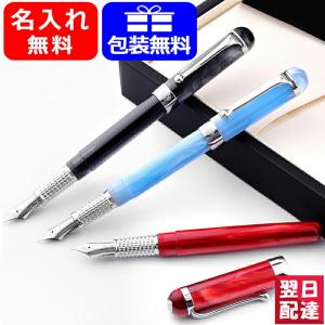 モンテグラッパ フェリチータ万年筆 ダストレジン F細字 モンテグラッパ フェリチータ万年筆 ダストレジン F細字