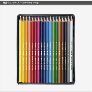 カランダッシュ CARAN DACHE 油性色...の詳細画像4