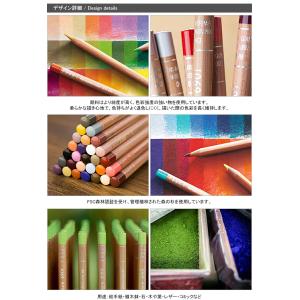 カランダッシュ CARAN D'ACHE 油性色鉛筆 ルミナンス6901