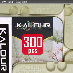 カロリー KALOUR 油性色鉛筆 300色セ...の詳細画像2
