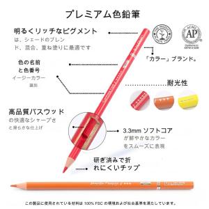 カロリー KALOUR 油性色鉛筆 300色セ...の詳細画像5