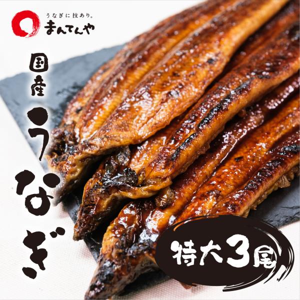 【 うなぎ蒲焼 特大 3尾セット 】 まんてんや 福岡養鰻 国産 うなぎ 鰻 冷凍 冷凍うなぎ お中...