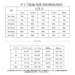 ブラジャー ショーツ 上下セット レディースフ...の詳細画像2