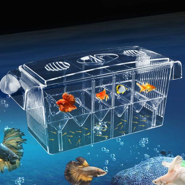 繁殖隔離ボックス 多機能産卵箱 育成用 魚 飼育 水槽 魚卵 孵化 安全 大容量 稚魚保護 攻撃を防...