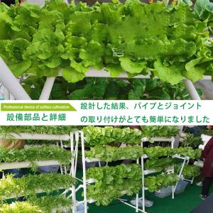 水耕栽培キット 野菜 栽培キット すいこう栽培...の詳細画像2