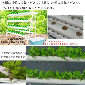 水耕栽培キット 野菜 栽培キット すいこう栽培...の詳細画像3