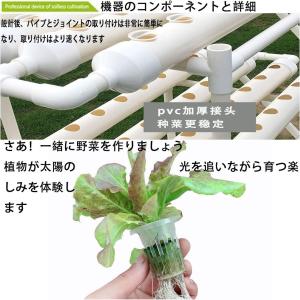 水耕栽培キット 野菜 栽培キット すいこう栽培...の詳細画像4
