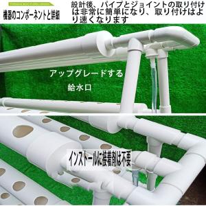 水耕栽培キット 野菜 栽培キット すいこう栽培...の詳細画像5