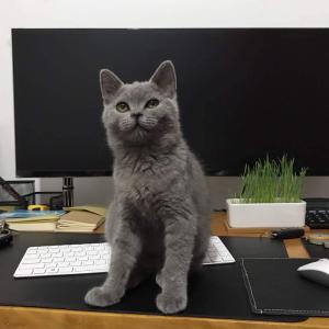 キーボード 保護カバー 高度な モニタースタン...の詳細画像5