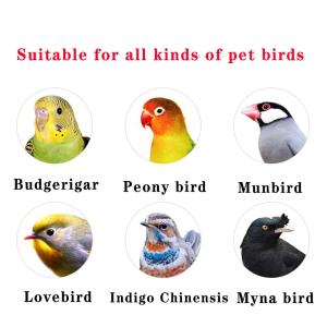 鳥籠 インコ 鳥かご ケージ インコ 、とりか...の詳細画像5