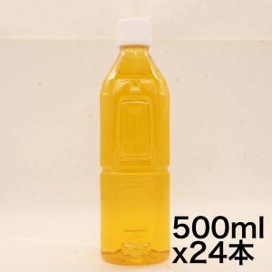 トクホ  ヘルシア緑茶 うまみ贅沢仕立て ラベルレス 500ml×24本｜yoyogiha